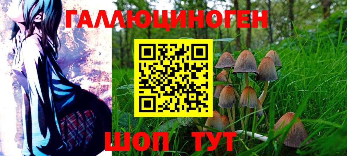 Псилоцибиновые грибы мухоморы Новокубанск